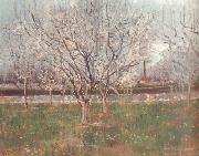 Orchard in Blossom (nn04) Vincent Van Gogh